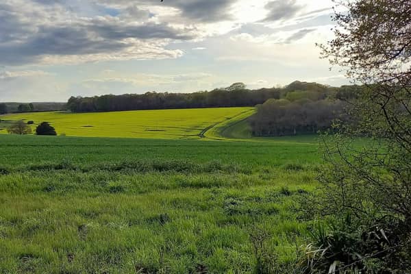 The Country Land and Business Association has launched a campaign to defend family farms and rural businesses in the South East following the Chancellor’s autumn budget. Picture contributed