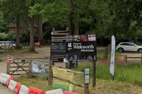 Winkworth Arboretum – in Hascombe Road, Godalming – ranked eighth on the list. There were a total of 544 total positive reviews with 1.29 per cent of those mentioning scent. Photo: Google Street View