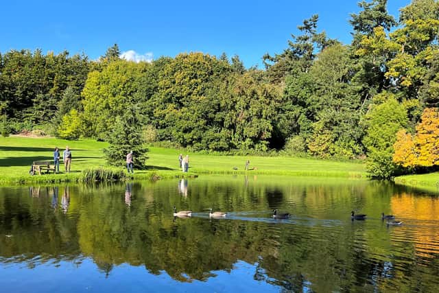 The Kids for Kids Charity Fly Fishing Day is coming up at Park Lake, Albury Estate, Guildford. Picture contributed