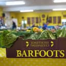 Barfoots of Botley are one of the leading growers of fresh produce in South East of England