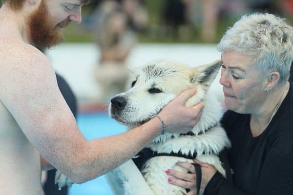 Dog Day at Aldershot Lido 2024