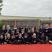 Peacocks and Penguins class