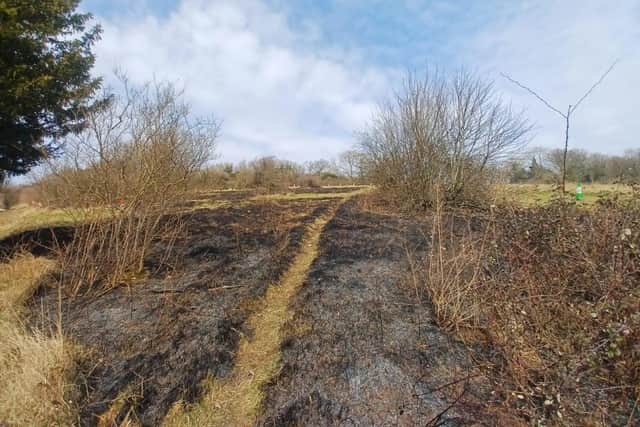 The fire has left a mark on the popular open space, damaging a 20x20m area, close to where the Adonis Blue butterfly: the symbol of Box Hill thrives
