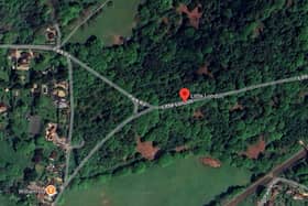 Police were called to the junction of Little London Road and Park Road following reports that a car had collided with a tree. Picture courtesy of Google
