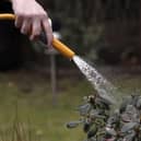 Temporary restrictions were announced by South East Water, on Friday, July 11, meaning customers in Sussex have been prevented from using hosepipes for watering their gardens, washing cars, windows and patios, or filling swimming and paddling pools. (Photo: Christopher Furlong/Getty Images)