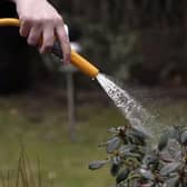 Temporary restrictions were announced by South East Water, on Friday, July 11, meaning customers in Sussex have been prevented from using hosepipes for watering their gardens, washing cars, windows and patios, or filling swimming and paddling pools. (Photo: Christopher Furlong/Getty Images)