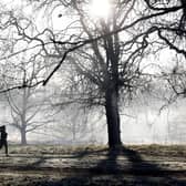 A jogger runs to exercise in a frost-covered Hyde Park in London. 
