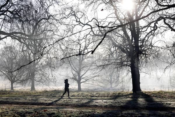 A jogger runs to exercise in a frost-covered Hyde Park in London. 