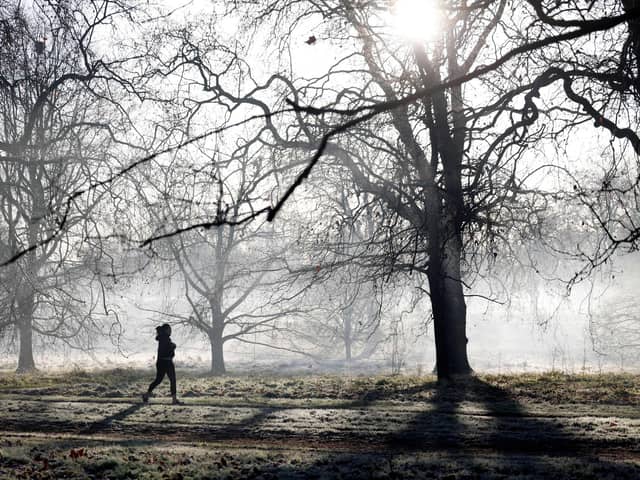 A jogger runs to exercise in a frost-covered Hyde Park in London. 