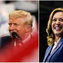 The contenders: Donald Trump and Kamala Harris