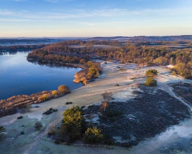 Surrey Hills National Landscape, Frensham Ponds (Image Natural England/ LYDIA2)