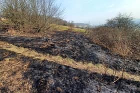 Surrey Fire & Rescue Service and the National Trust are urging residents to be ‘Wildfire Aware’ this season, after a fire broke out recently at nature spot, Box Hill. Pictures courtesy of Surrey Police