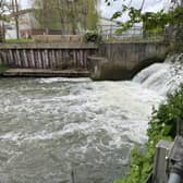 Esher Mill Road overflow sewage site (image Chris Caulfield)