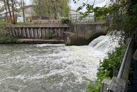 Esher Mill Road overflow sewage site (image Chris Caulfield)