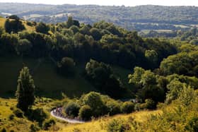 Surrey is among the South East’s top holiday destinations this summer. Picture by Harry Engels/Getty Images
