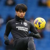 Albion winger Kaoru Mitoma, full-back Tariq Lamptey, centre-back Lewis Dunk, and striker Evan Ferguson have all had various knocks in recent weeks. (Photo by Steve Bardens/Getty Images)
