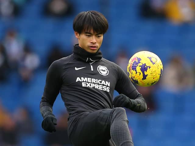 Albion winger Kaoru Mitoma, full-back Tariq Lamptey, centre-back Lewis Dunk, and striker Evan Ferguson have all had various knocks in recent weeks. (Photo by Steve Bardens/Getty Images)