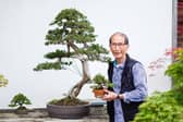 Peter Chan MBE | Picture: contributed