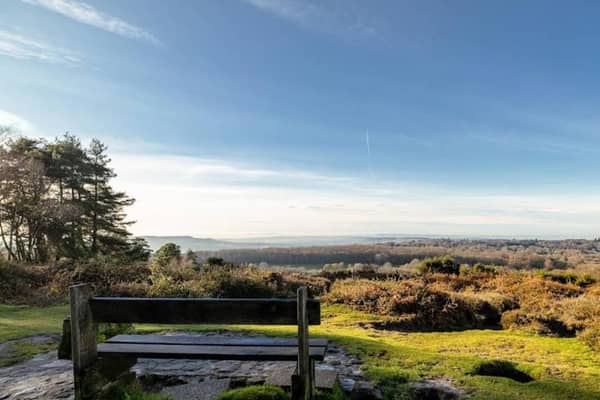 Blackdown has secured its place among the UK’s top ten astro-tourism destinations. Picture courtesy of Google