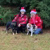 Owner Andrea with colleague Clair and dogs Maple and Bertie the Beagle.
