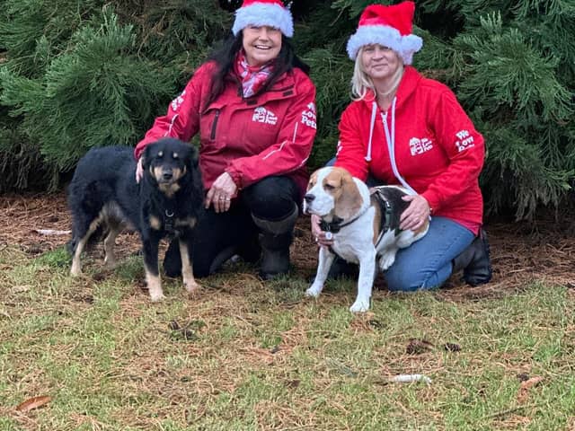 Owner Andrea with colleague Clair and dogs Maple and Bertie the Beagle.