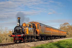 A great day out to the Bluebell Railway is on offer for schoolchildren with free rail travel