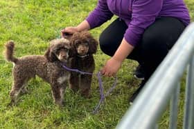 Shelina Duke is sharing what she has learned with Surrey pet parents - Animal News Agency