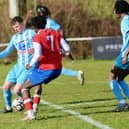 Worthing United v Dorking Wanderers B, SCFL Division 1