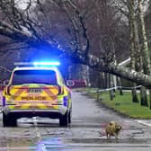 There are multiple reports of fallen trees, and other weather-related incidents, after the latest yellow wind warning in Sussex and Surrey. (Photo by ANDY BUCHANAN/AFP via Getty Images)