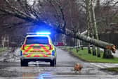 There are multiple reports of fallen trees, and other weather-related incidents, after the latest yellow wind warning in Sussex and Surrey. (Photo by ANDY BUCHANAN/AFP via Getty Images)