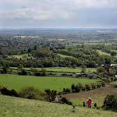 The 2024 Surrey local elections take place tomorrow, and the candidates in each area have been out on the doorsteps hoping to earn your votes. Picture by Dan Kitwood/Getty Images