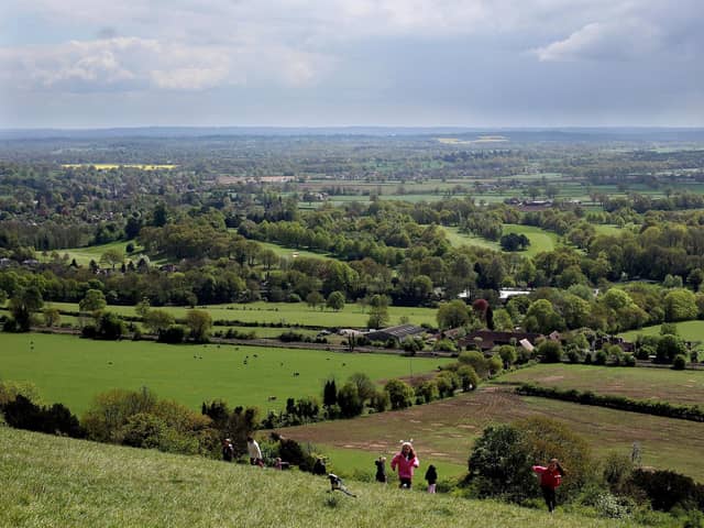 The 2024 Surrey local elections take place tomorrow, and the candidates in each area have been out on the doorsteps hoping to earn your votes. Picture by Dan Kitwood/Getty Images