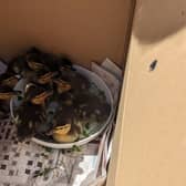 Eight ducklings who hatched inside the chimney stack of a house in Surrey have been rescued by the RSPCA and fire service. Pictures courtesy of the RSPCA