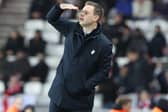 Michael Beale lasted just 12 games in charge at Sunderland