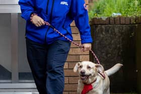 ARO at RSPCA