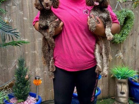 Shelina Duke is a multi-award-winning dog trainer - Animal News Agency
