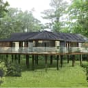 Treehouses next to Fairmont Hotel in Englefield Green could look. Credit Blue Forest