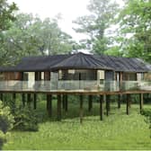 Treehouses next to Fairmont Hotel in Englefield Green could look. Credit Blue Forest