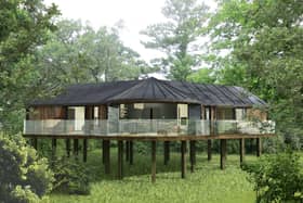 Treehouses next to Fairmont Hotel in Englefield Green could look. Credit Blue Forest