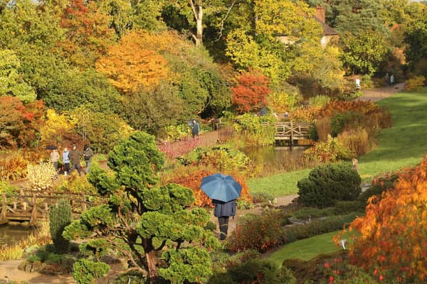 The Royal Horticultural Society has announced that RHS Garden Wisley and the cafe will close this weekend, on Saturday, February 24 and Sunday, February 25, due to roadworks. Picture by Oli Scarff/Getty Images