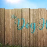 Could you be part of the journey to find forever homes for the next 100 dogs?  If you’re interested in applying, visit the Channel 4 Take Part page (The Dog House | Channel 4) or email thedoghouse@fivemilefilms.co.uk.