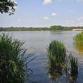 Water at Frensham Great Pond (Image: SurreyLive - Grahame Larter)