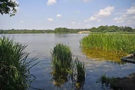 Water at Frensham Great Pond (Image: SurreyLive - Grahame Larter)