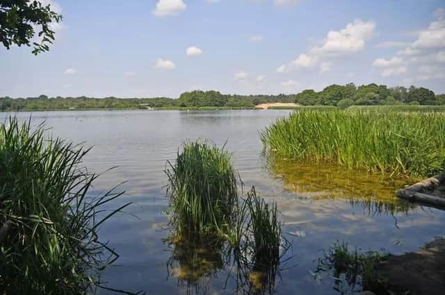 Water at Frensham Great Pond (Image: SurreyLive - Grahame Larter)