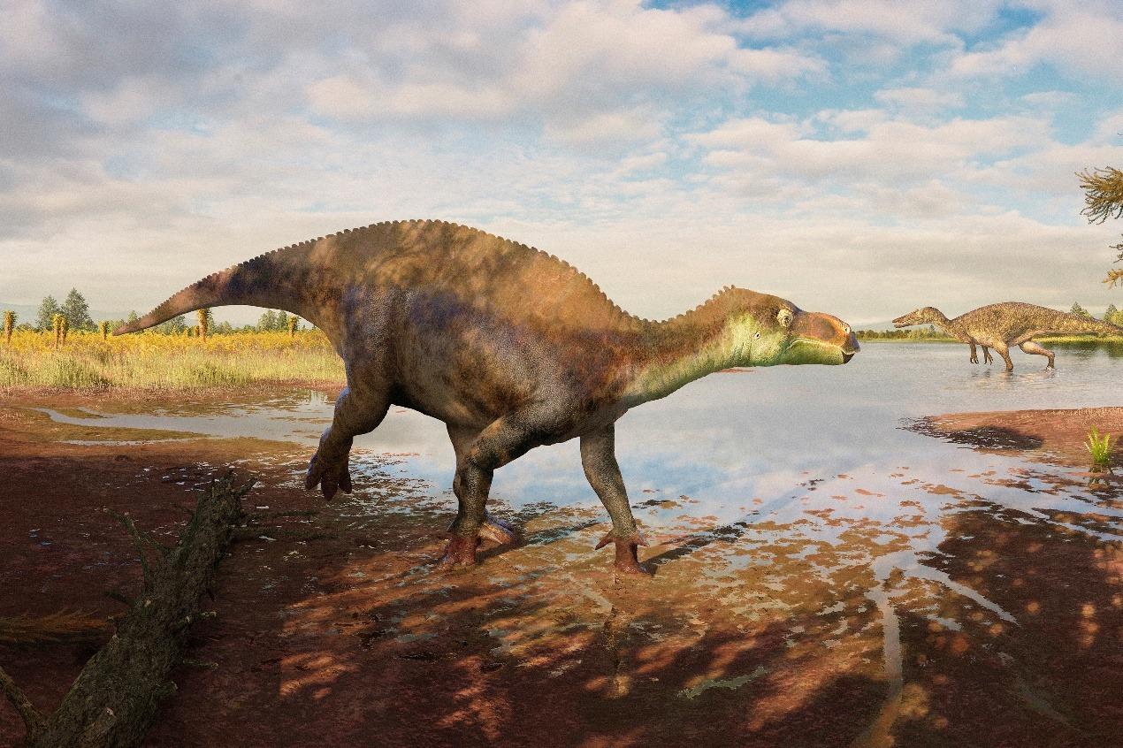 New UK dinosaur discovered using Natural History Museum’s fossil ...