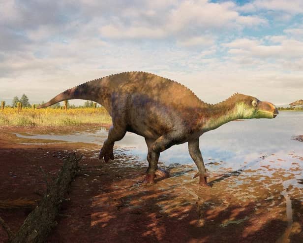 A reconstruction of the iguanodontian dinosaur Paludohadros proudlovii walking through mud along the edge of a shallow body of water. In the distance, the large predatory dinosaur Baryonyx can be seen. Picture courtesy of Guilherme Gehr/Natural History Museum