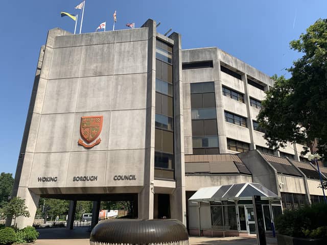 Woking Borough Council (Image Chris Caulfiield)