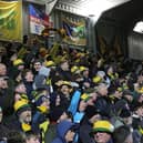 Proud Horsham FC manager Dominic Di Paola said the Hornets’ unlikely run to the second round of this season’s FA Cup has given the town and the club’s supporters memories to cherish. Picture by Natalie Mayhew, ButterflyFootie