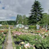 Hill Park Roses Centre2, Long Ditton. (Credit: Google street view)