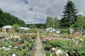 Hill Park Roses Centre2, Long Ditton. (Credit: Google street view)